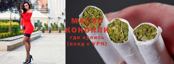 дмт Новозыбков