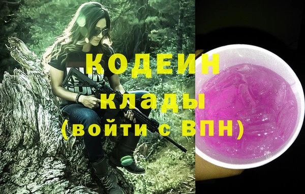 дмт Новозыбков