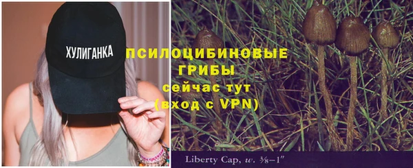 крисы Нязепетровск