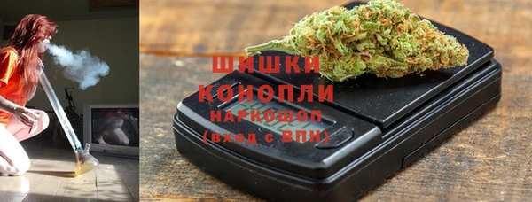 spice Няндома