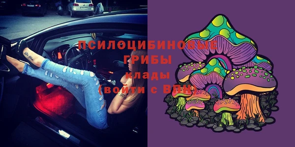 крисы Нязепетровск