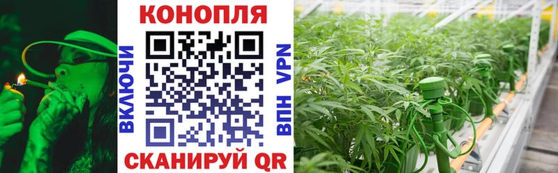 сколько стоит Артёмовский Бошки Шишки Ganja